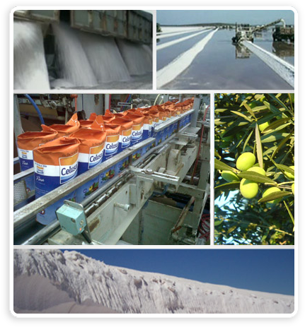 plantas_industriales_timbo