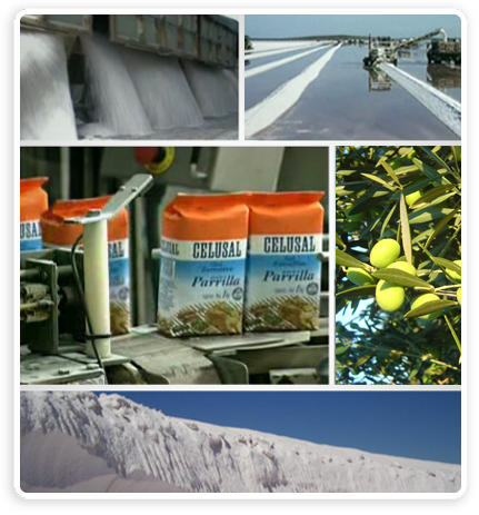 plantas_industriales_timbo
